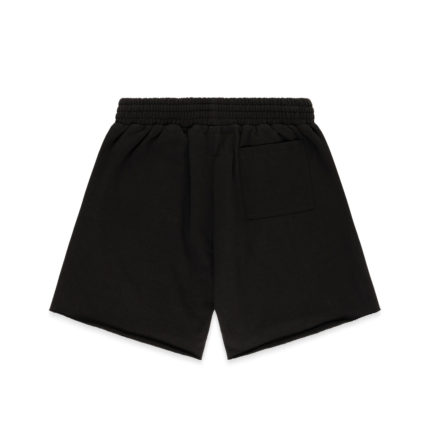 BLACK OG WEB V2 PHANTOM SWEATSHORT
