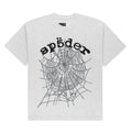 HEATHER GREY OG WEB V2 TEE