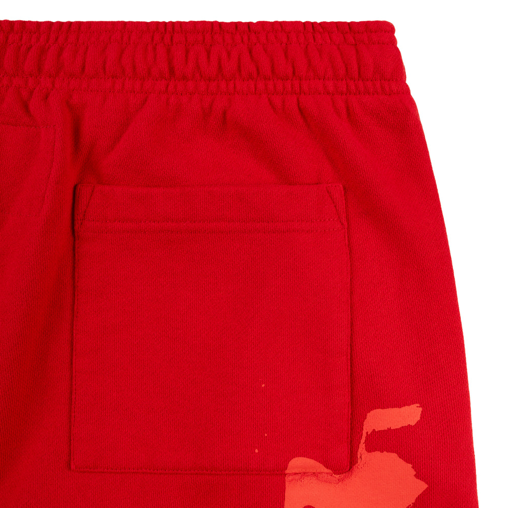 RED X-RAY SWEATPANT