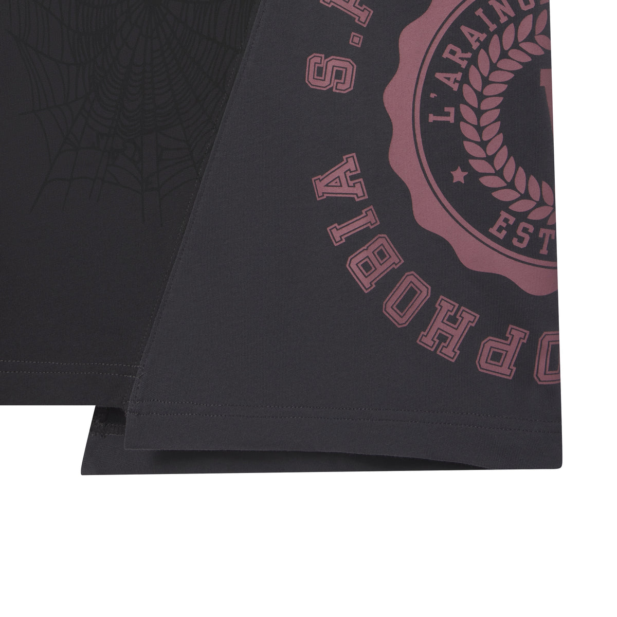 Black cotton tee with asymmetrical hem, featuring a subtle web graphic and a collegiate-style circular graphic print.