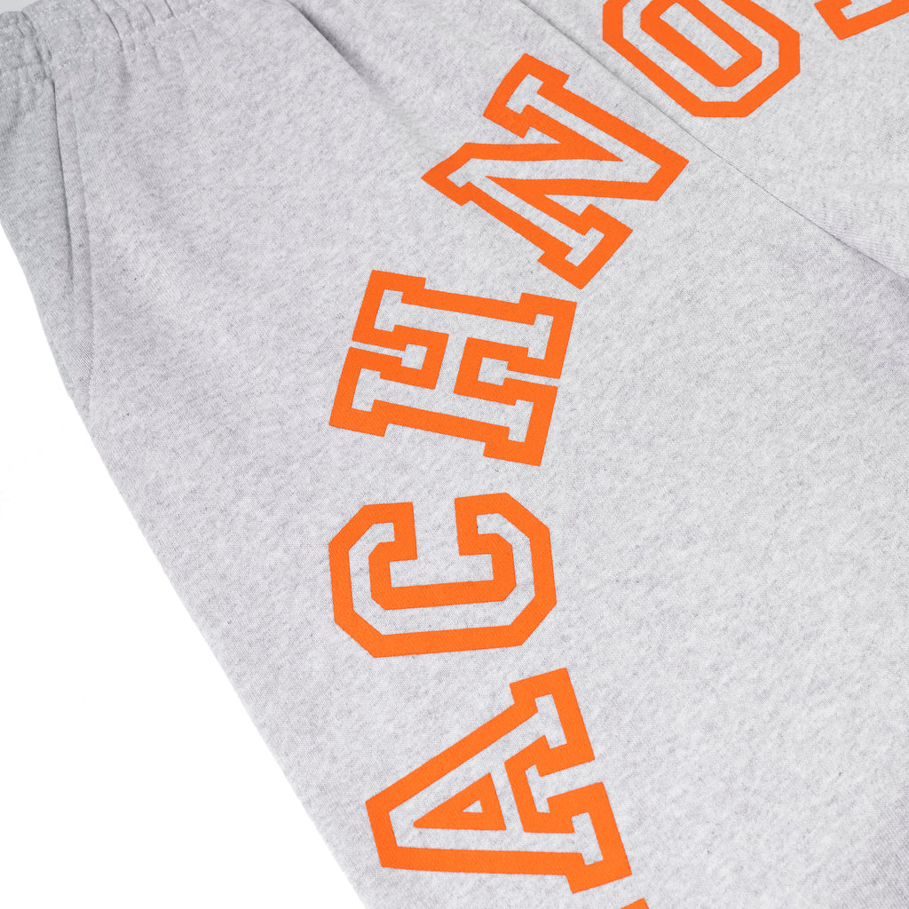 Gray 13oz cotton fleece sweatpants with arched orange "ARACH" text puff print along the leg.