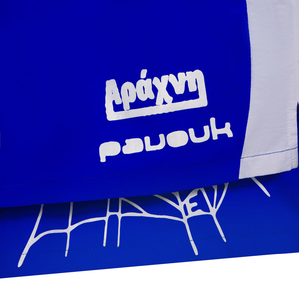 Blue double-layer soccer shorts with white graphic print, wide side stripe, and web print on inner layer.