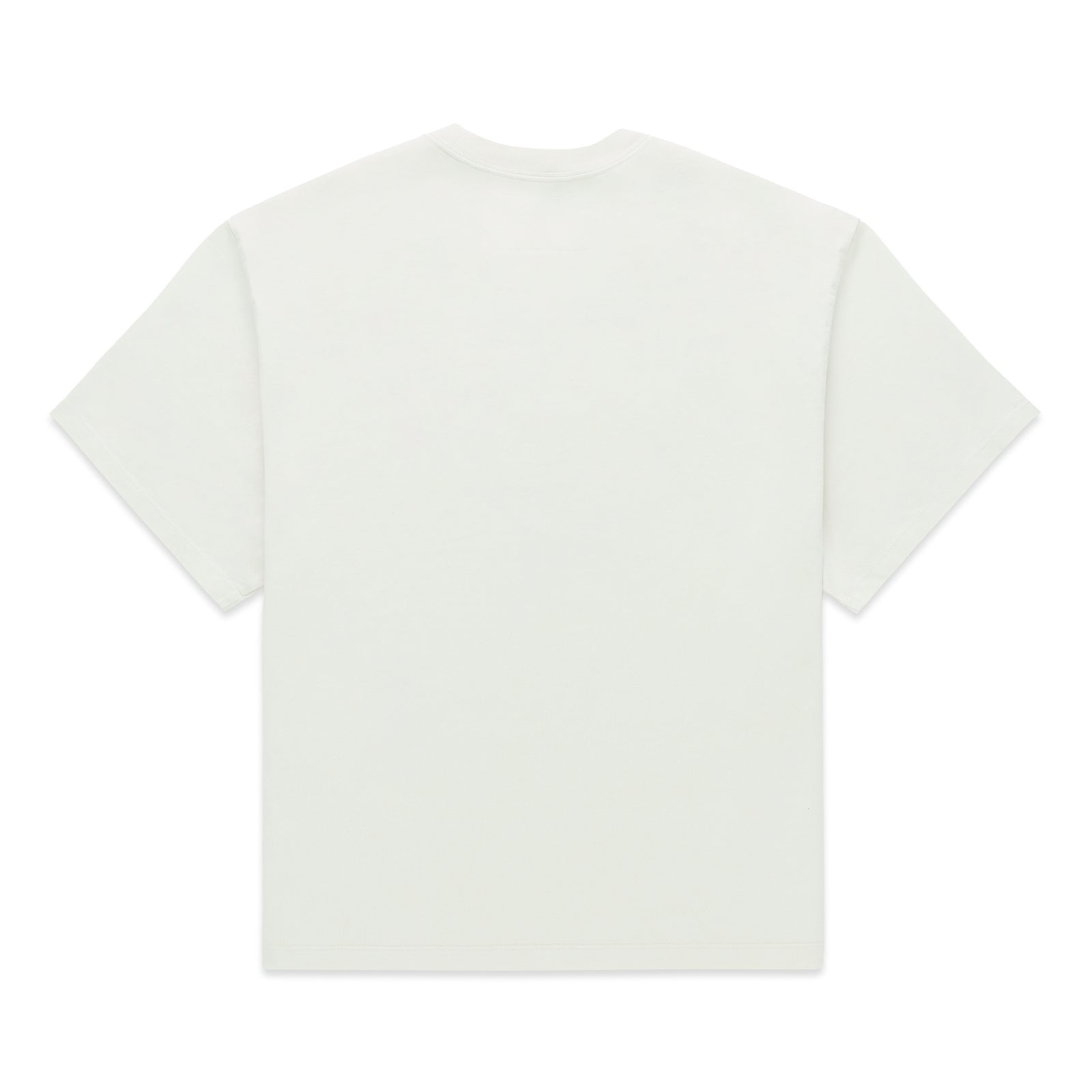 Back of a plain white, standard fit, 100% cotton lightweight tee.