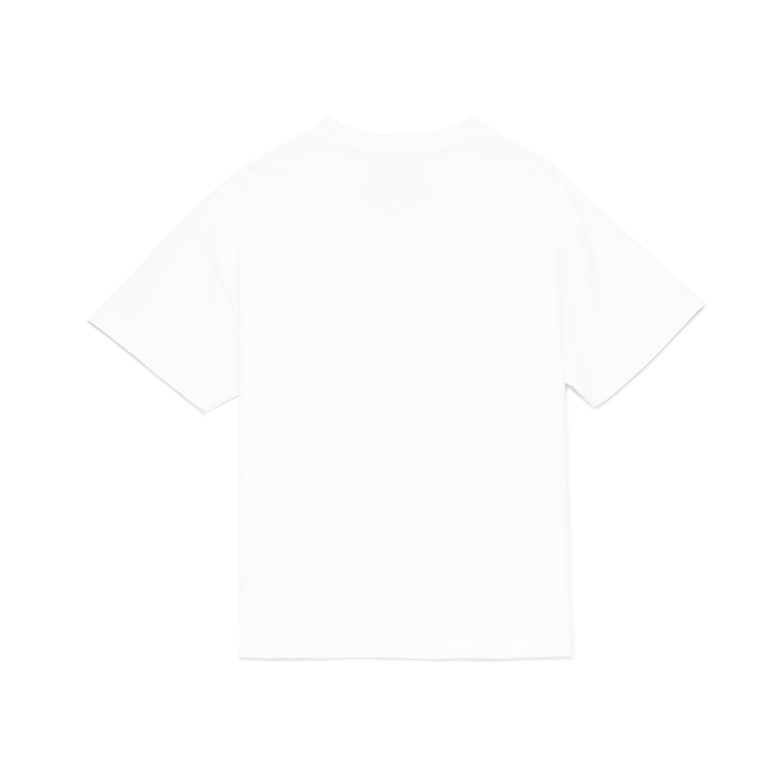 Back view of a plain white 14oz cotton standard fit Souvenir Tee.