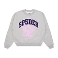 Grey VARSITY WEB CREWNECK with "SP5DER" text and pink spider web graphic.