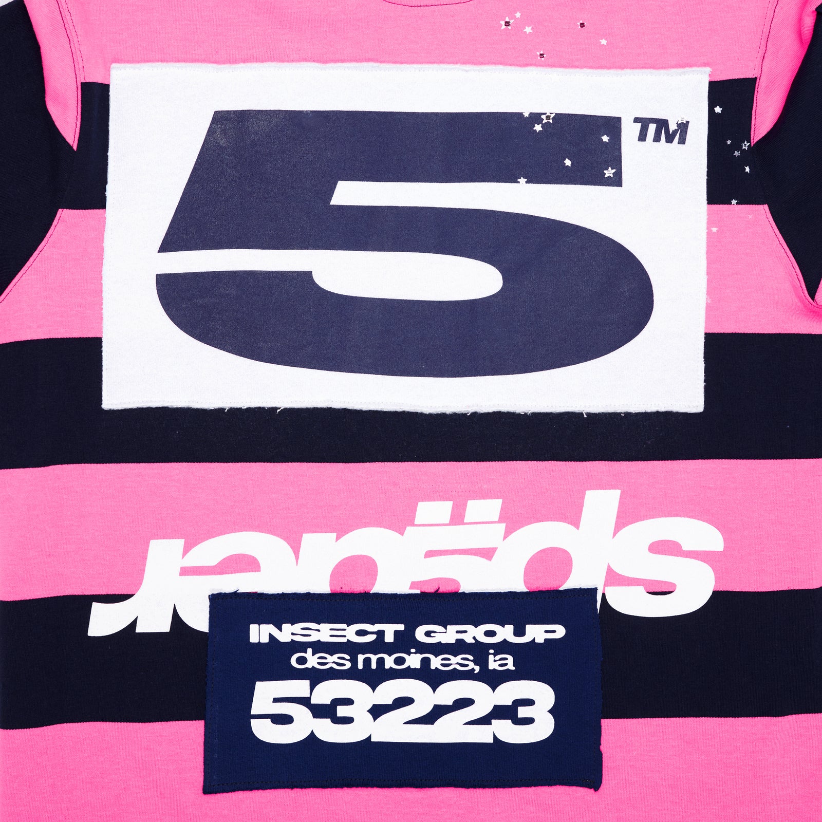 Pink and black striped rugby shirt with large white '5' patch and "INSECT GROUP" text.