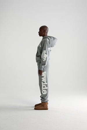 DARK HEATHER GREY BELUGA HOODIE ON MODEL