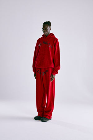 RED WEBSTONE AOP HOODIE ON MODEL