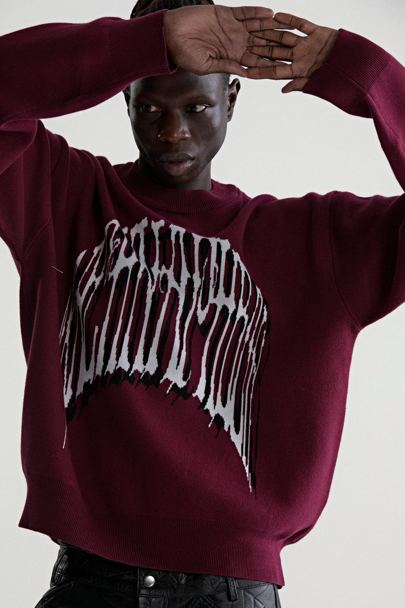 BURGUNDY ARACHNAPHOBIA SWEATER ON MODEL