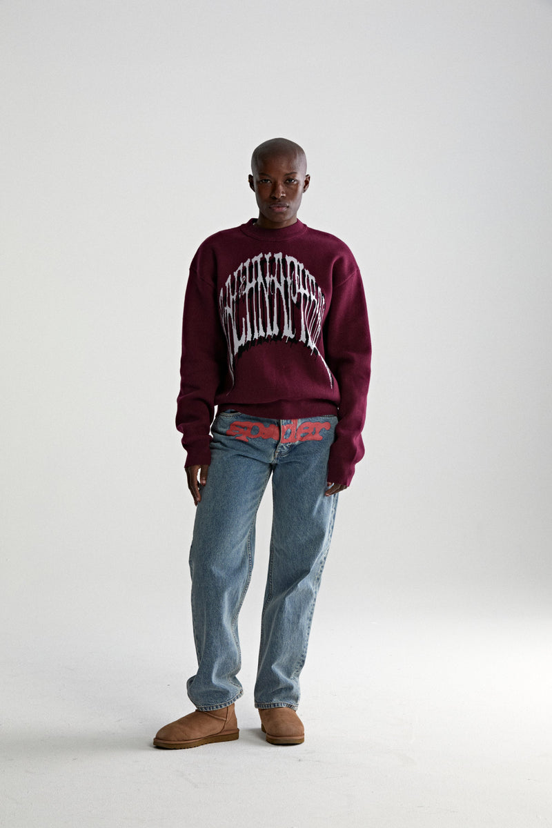 BURGUNDY ARACHNAPHOBIA SWEATER ON MODEL