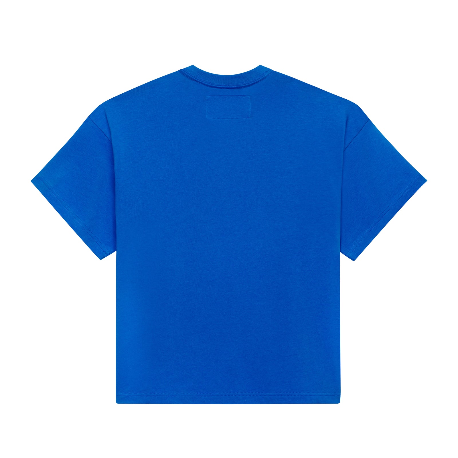 Back view of a standard fit, royal blue 100% cotton t-shirt with a plain back and crew neckline.