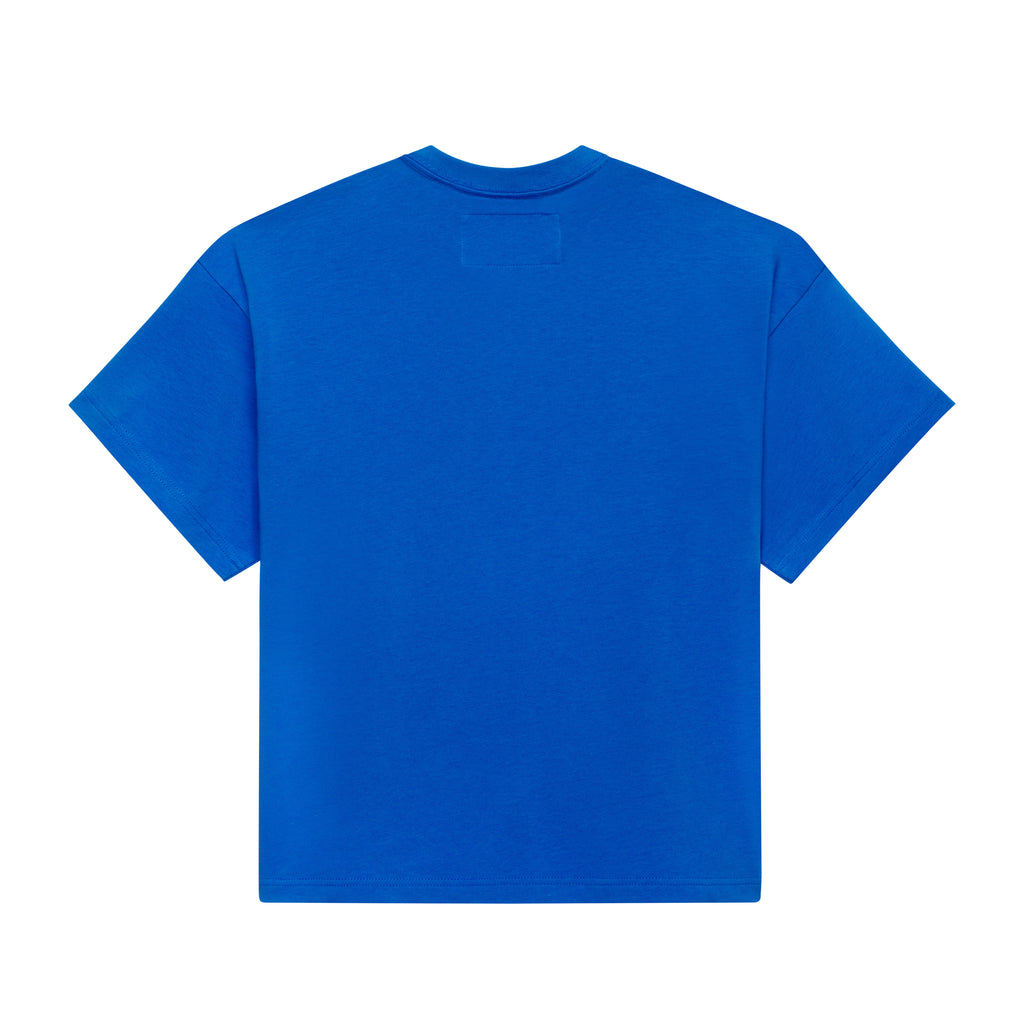 Back view of a standard fit, royal blue 100% cotton t-shirt with a plain back and crew neckline.