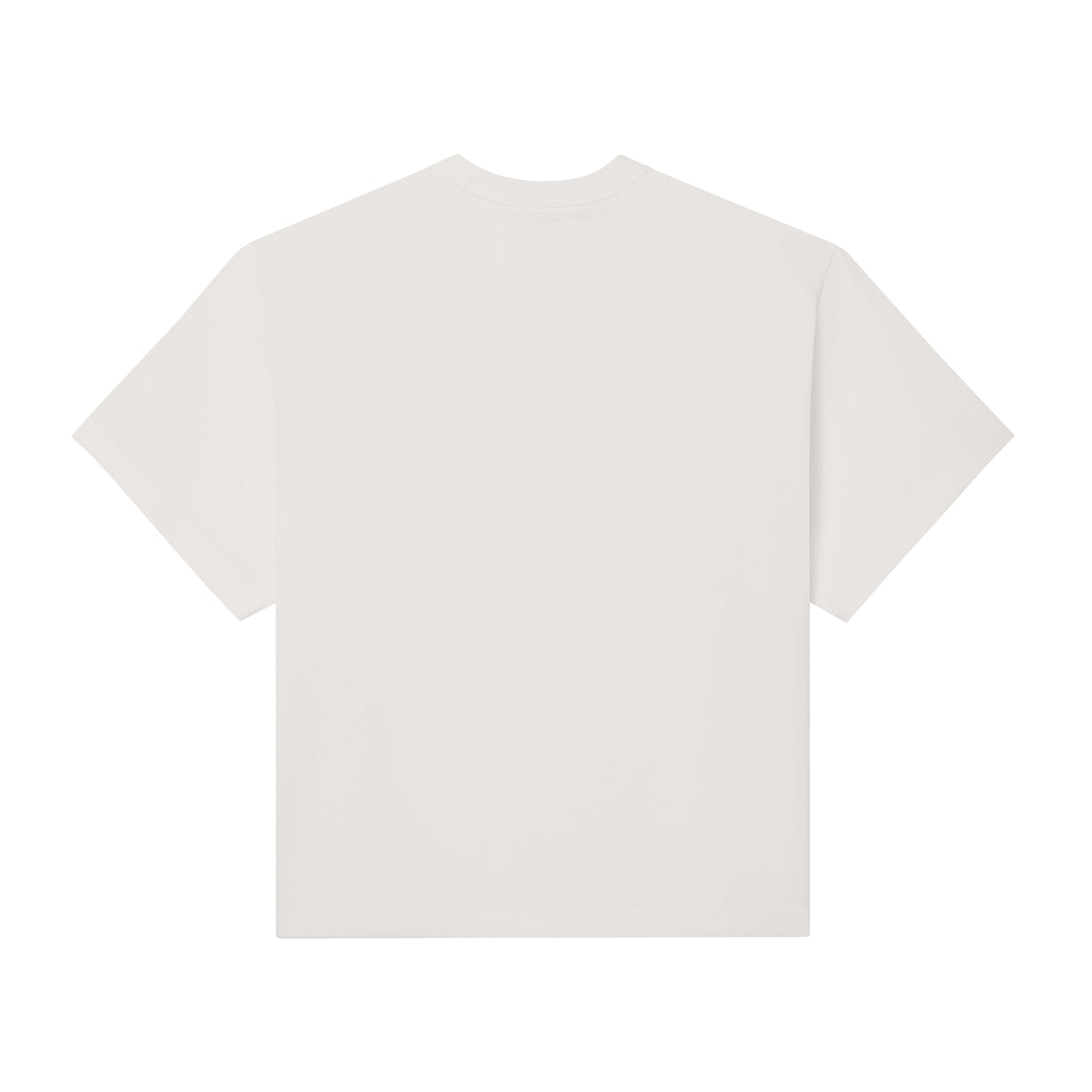 Back view of a standard fit, off-white 100% cotton t-shirt with a clean, minimalist design.