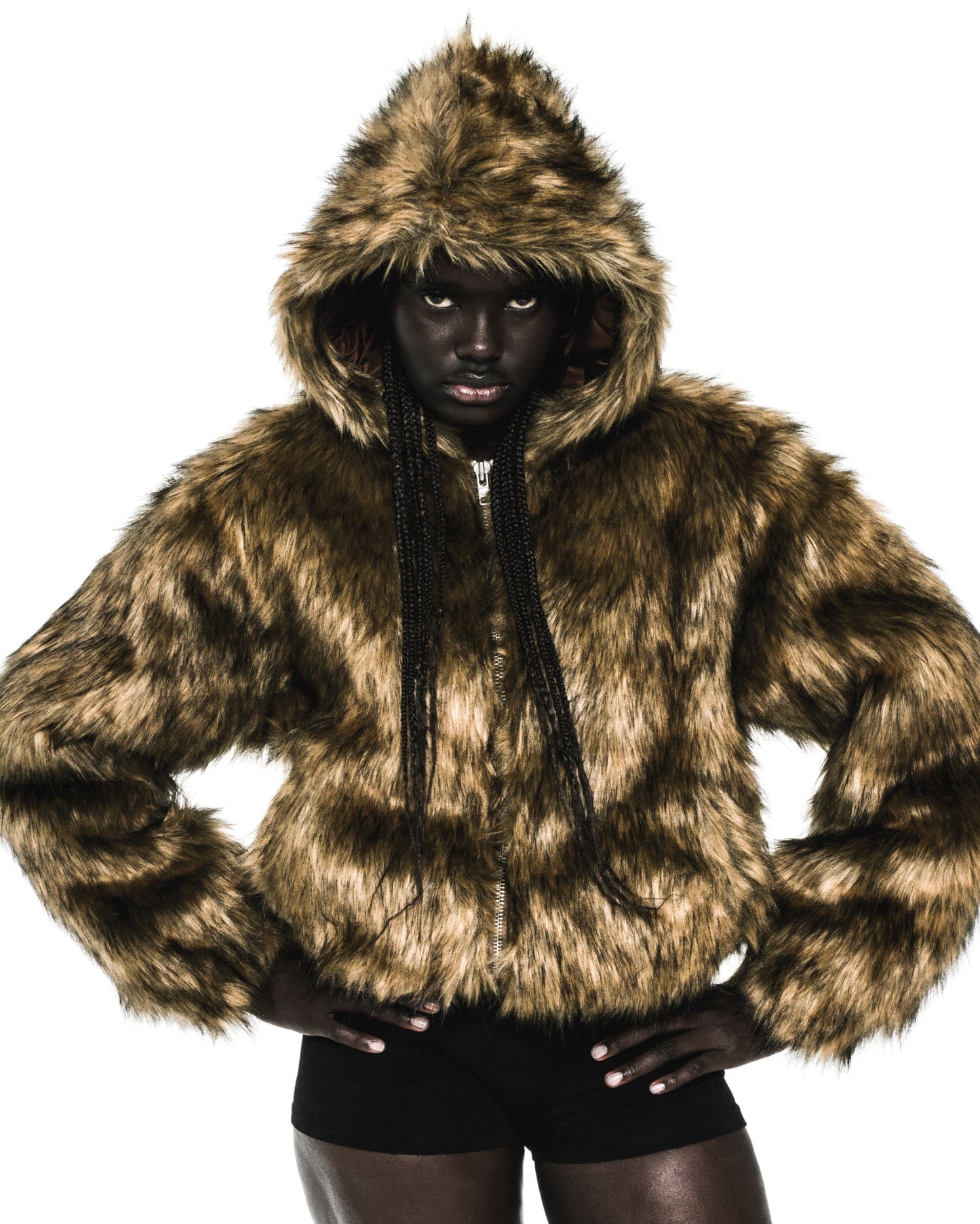 NOCTURNAL ANIMAL JACKET