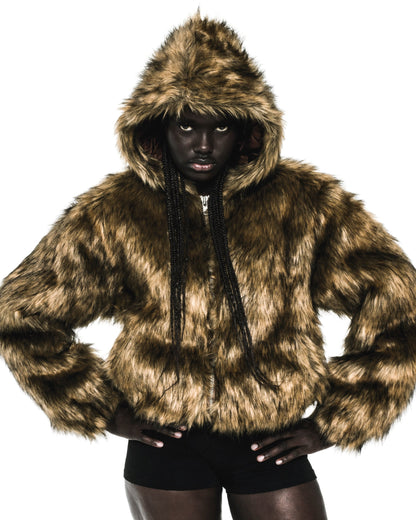 NOCTURNAL ANIMAL JACKET