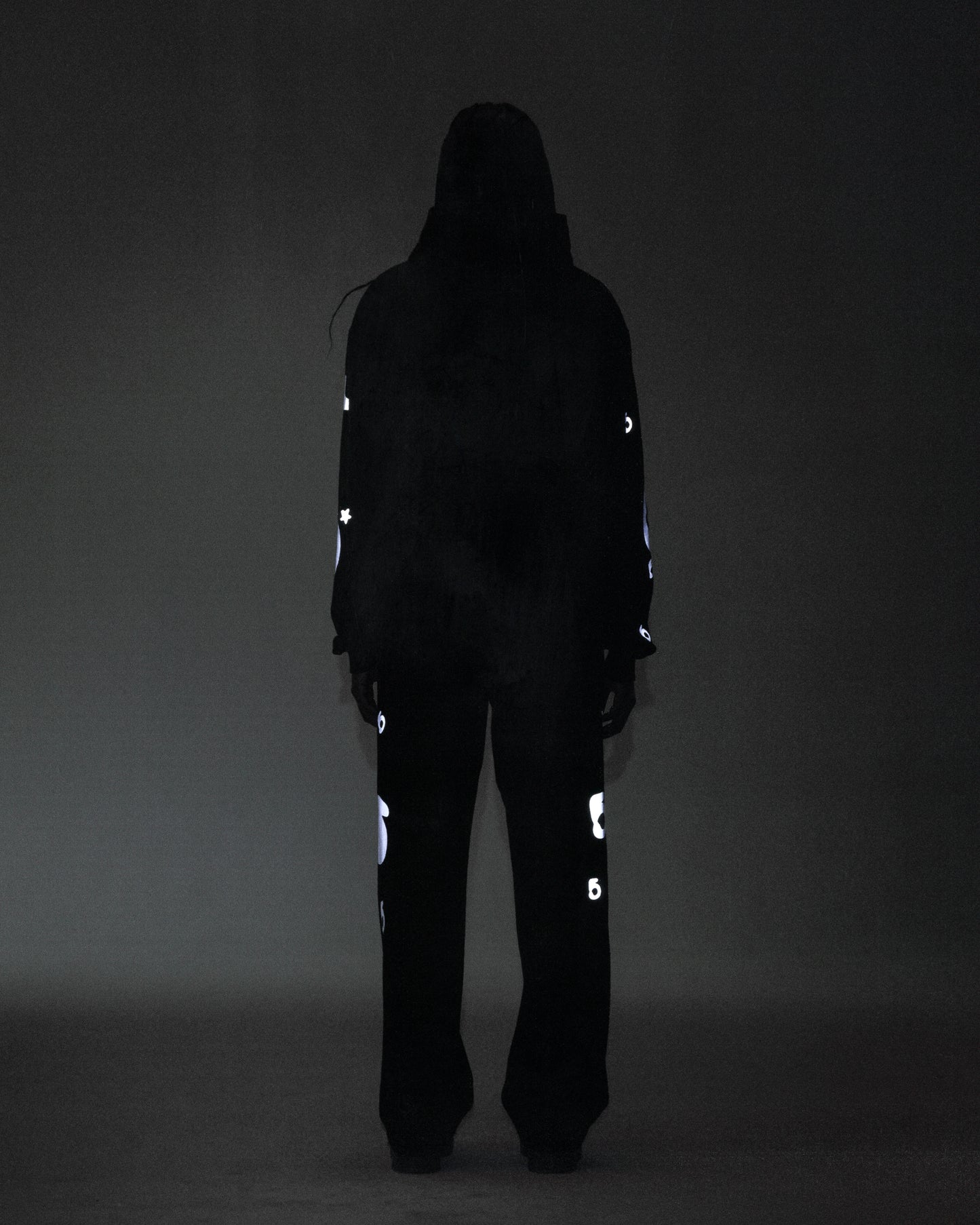 REFLECTIVE BELUGA HOODIE