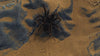 Spider walking on jacket