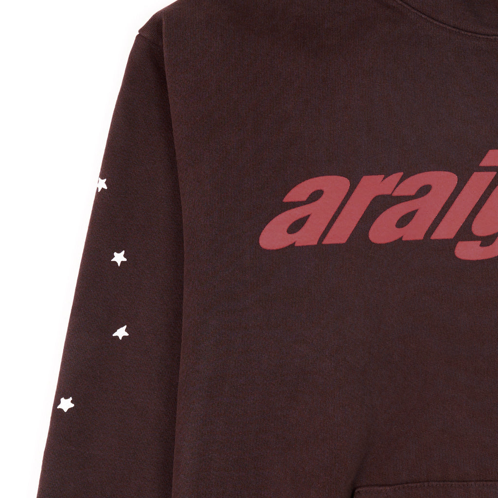 Brown 23oz fleece hoodie with "araignee" puff print and star print on sleeve.