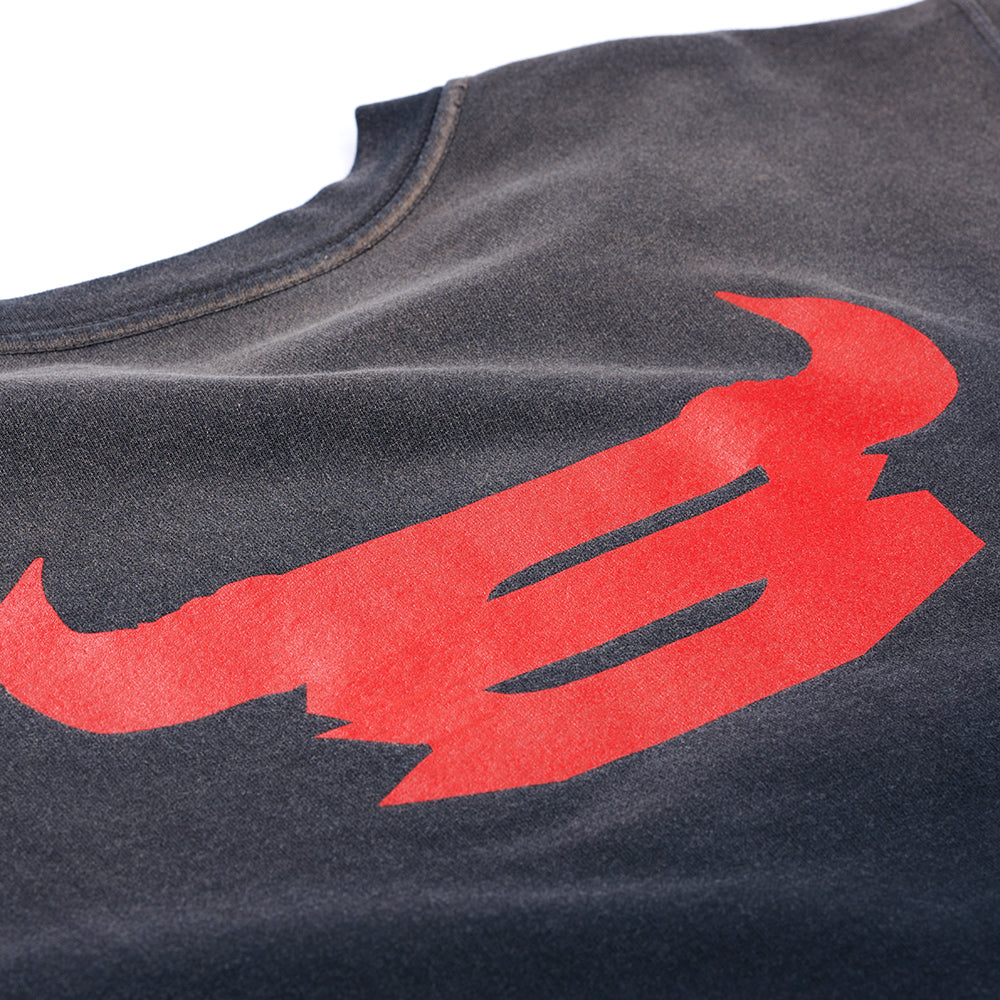 Dark grey French terry sweatshirt with a custom sun fade wash and large red graphic print.