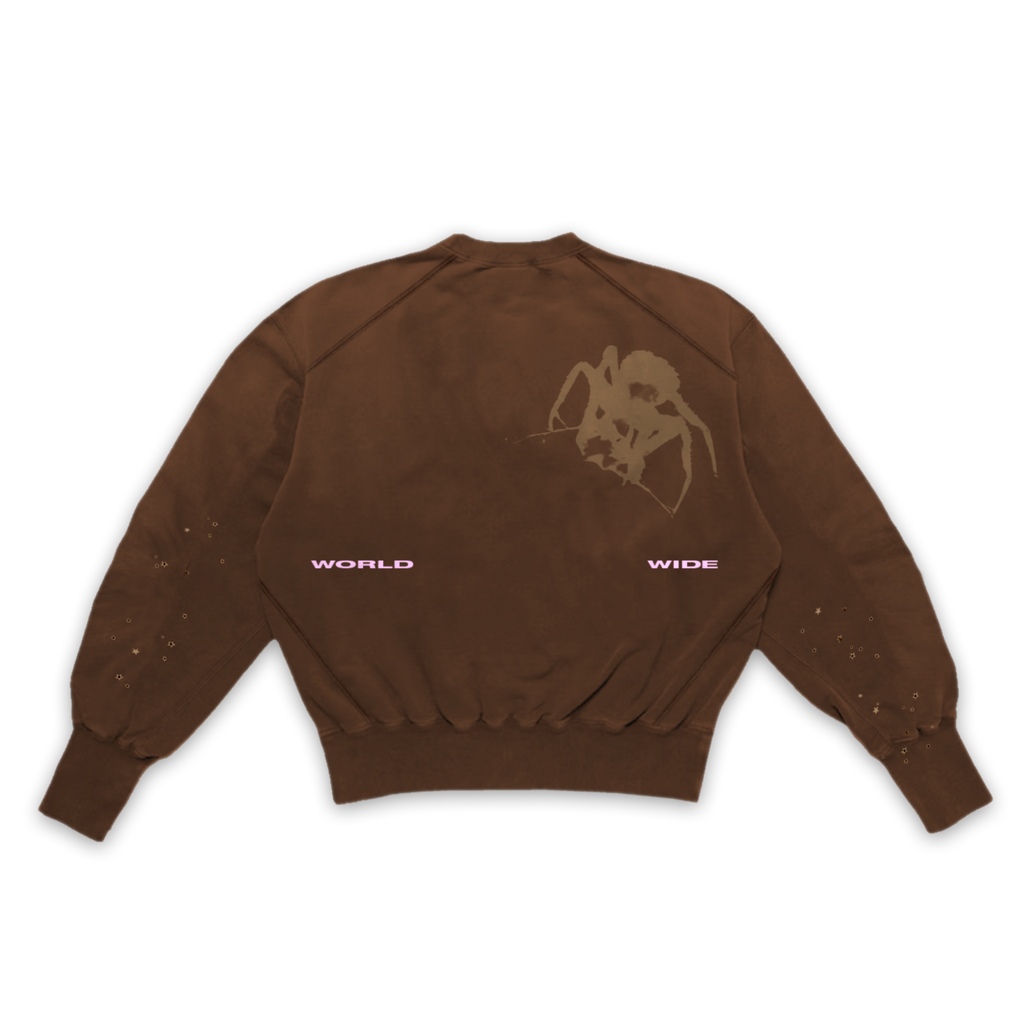 Oversized brown French terry crewneck with a large spider graphic and "WORLD WIDE" text on the back.